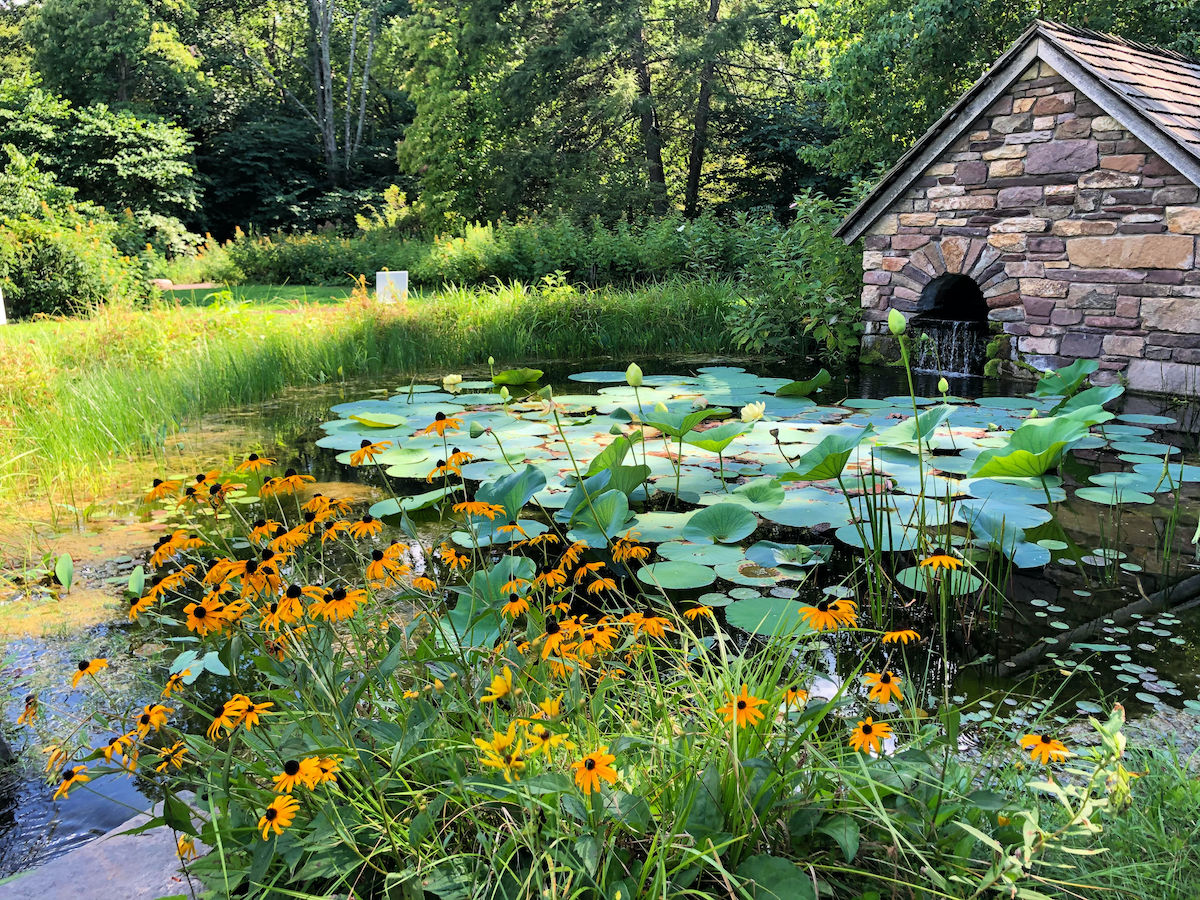 15 mejores lugares para ver las abundantes flores silvestres de Pensilvania mejores lugares para ver las flores silvestres de Pensilvania - 11