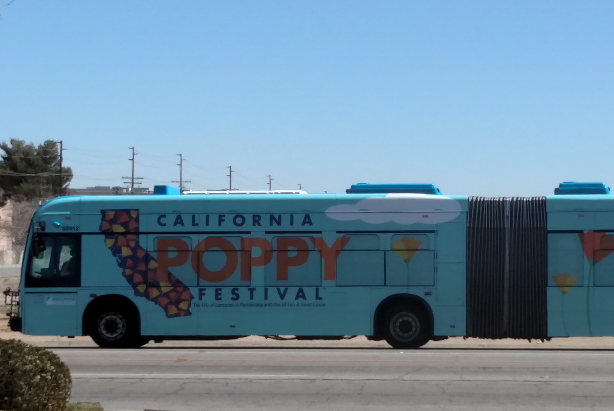 Razones fantásticas para visitar el festival anual de amapola de California - 7
