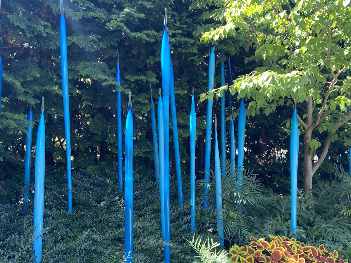 4 mejores cosas para ver en Chihuly Garden and Glass - 13