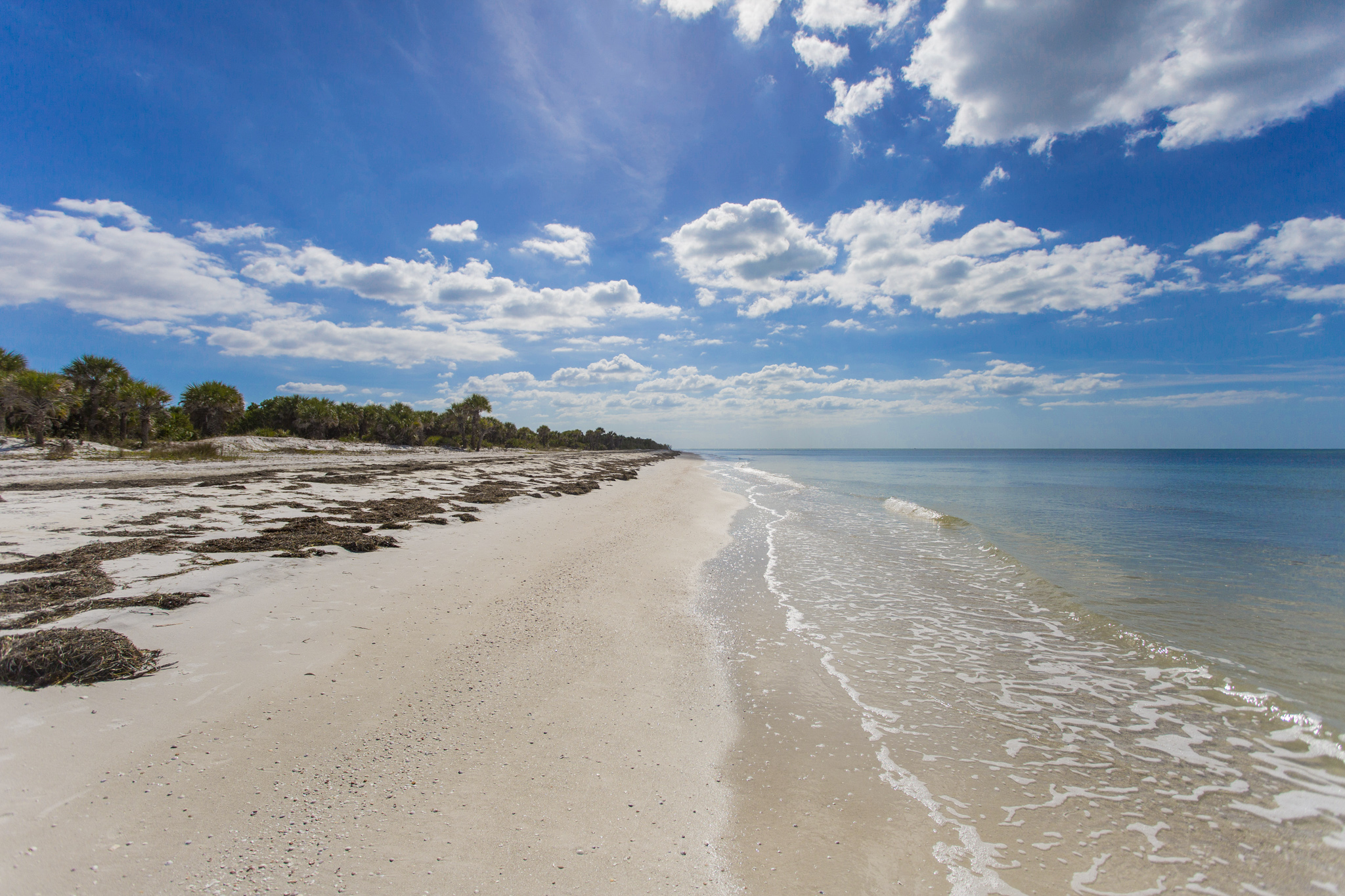 Las 15 playas menos concretadas en los EE. UU. | Esta web - 7