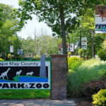 10 mejores zoológicos de EE. UU. Con entrada gratuita