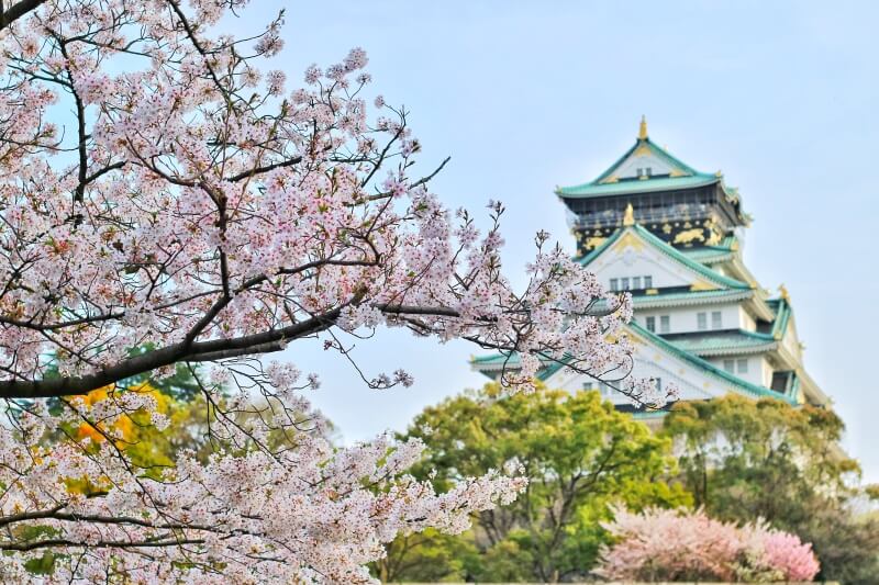 14 Top Japan Travel Hacks: Consejos para aprovechar al máximo su viaje - 13