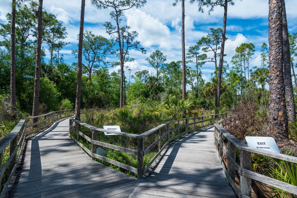 7 INCREÍBLES parques nacionales y conservas para visitar en el sur de Florida - 17