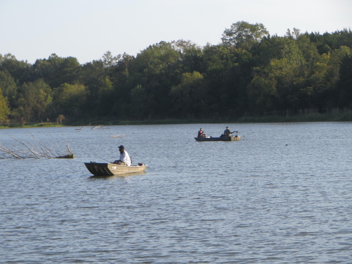 6 experiencias de pesca fabulosas en Alabama - 9