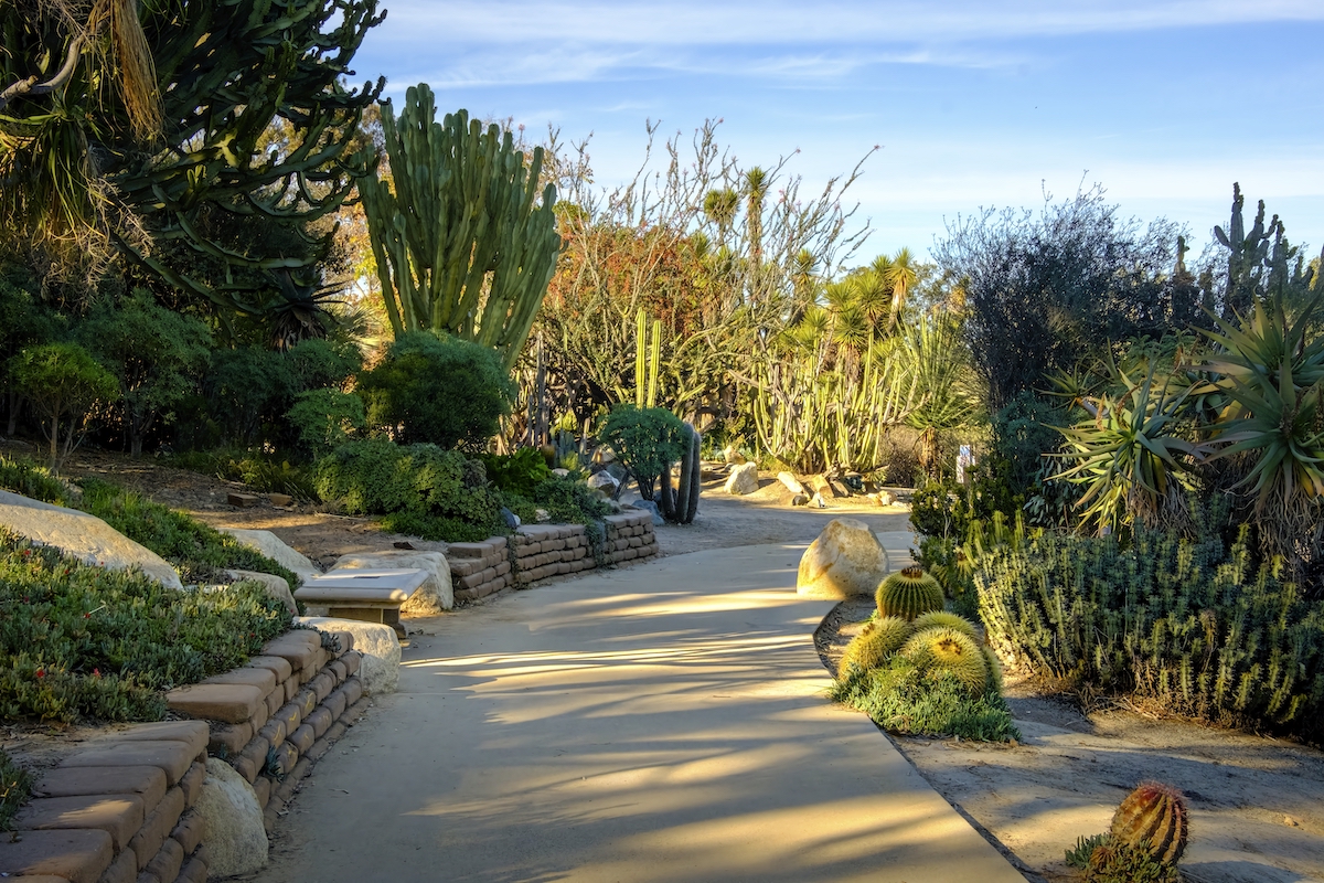 7 hermosos jardines para experimentar en San Diego - 7