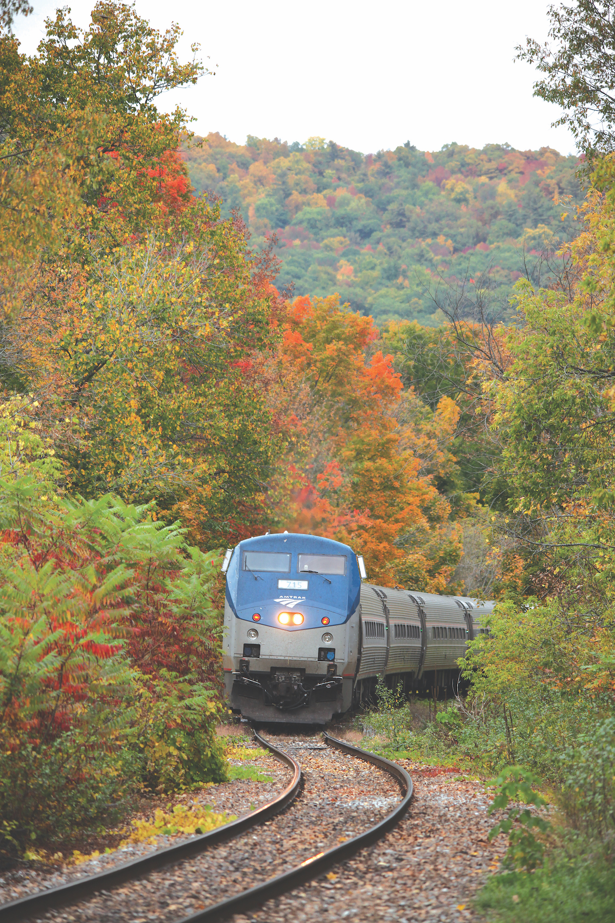 8 paseos en tren de follaje de otoño espectaculares en los EE. UU. - 15