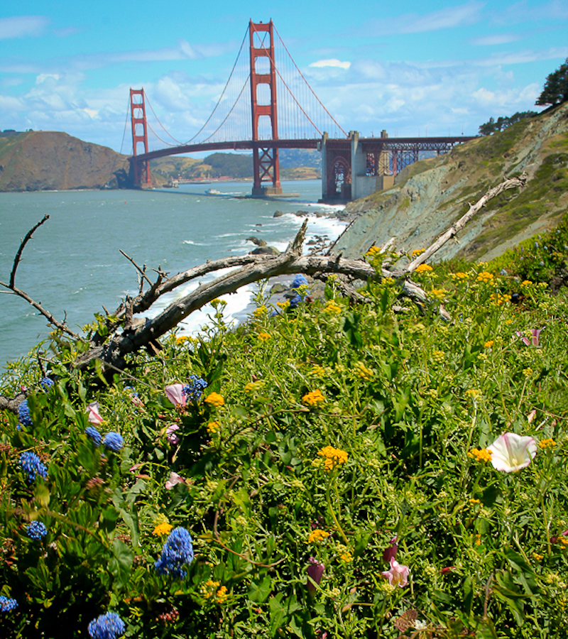 7 cosas fantásticas para hacer al aire libre en San Francisco - 7