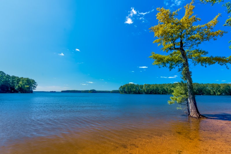 26 mejores parques estatales y nacionales en Carolina del Sur - 37