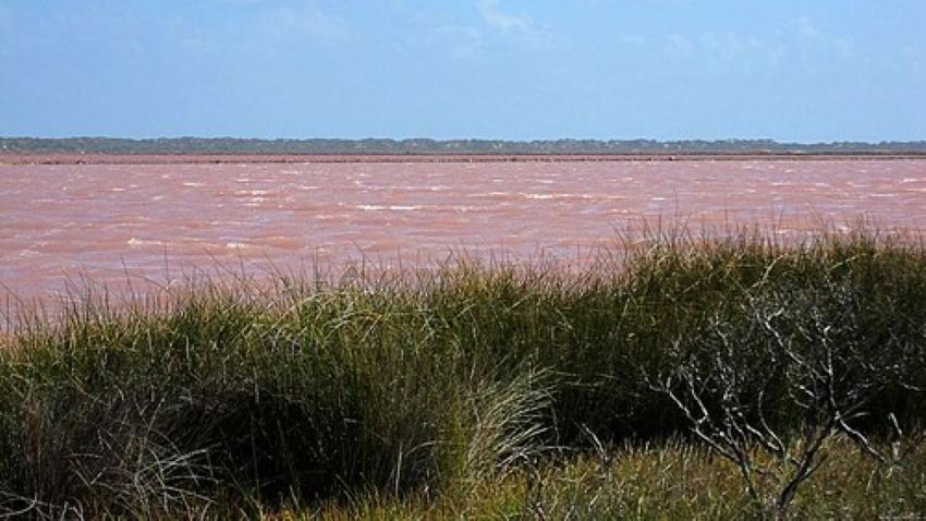 10 mejores lagos rosados ​​del mundo para visitar - 9