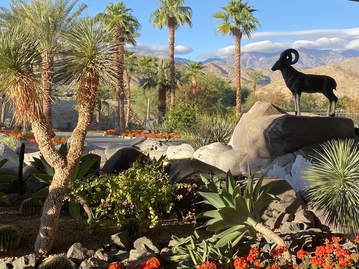 8 resorts más lujosos para alojarse en Palm Springs - 7
