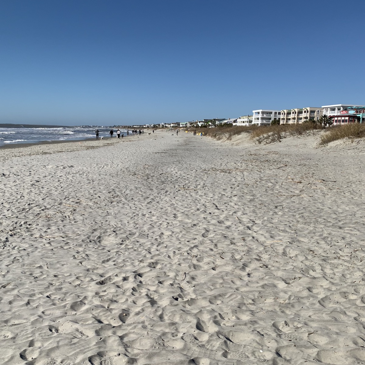 7 hermosas playas para visitar en Charleston - 15
