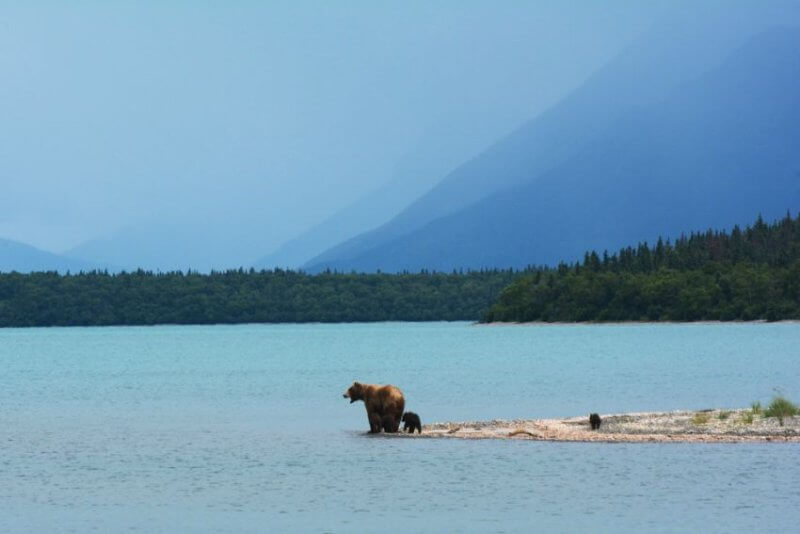20 mejores lugares para visitar en Alaska | Las principales atracciones - 49