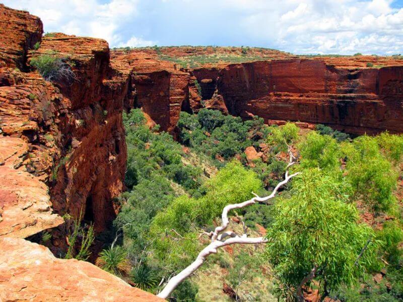 Australia Outback Adventure: conducir el centro rojo - 13