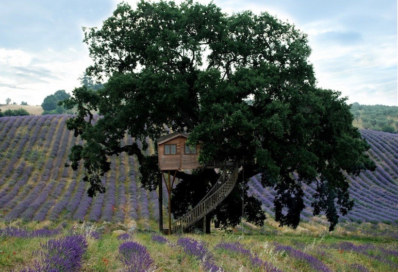 10 hoteles de la casa de árboles más increíbles del mundo