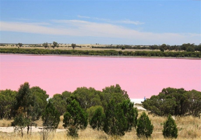 10 mejores lagos rosados ​​del mundo para visitar - 7
