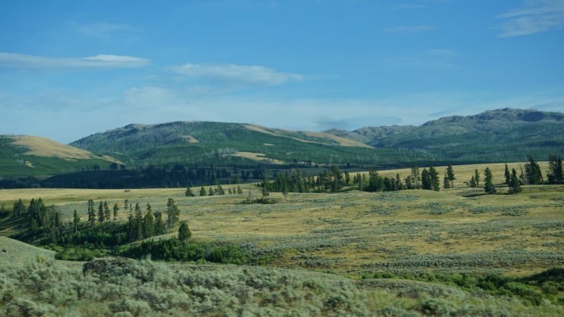 22 mejores cosas que hacer en el Parque Nacional de Yellowstone - 35