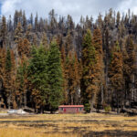 Casi el 70% del Parque Nacional Volcánico Lassen quemado por Fire Wildfire