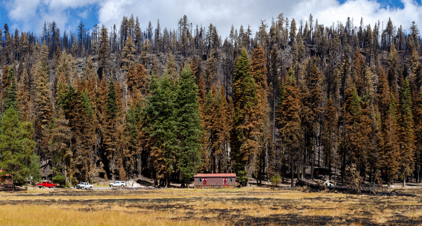 Casi el 70% del Parque Nacional Volcánico Lassen quemado por Fire Wildfire - 247