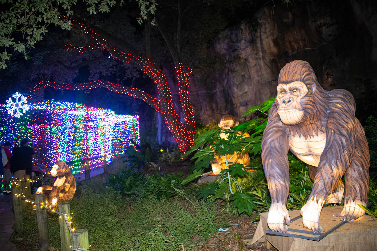 15 Fantásticas luces de zoológico de vacaciones a la experiencia en los EE. UU. - 13