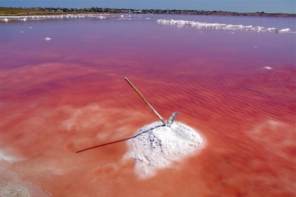 10 mejores lagos rosados ​​del mundo para visitar - 17