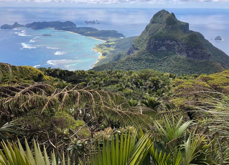 Lord Howe Island: Las últimas 7 millas del paraíso del mundo - 17