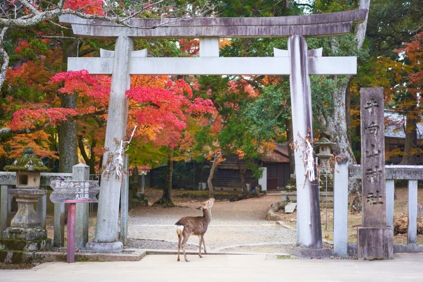 24 mejores lugares para visitar en Japón y las mejores cosas para hacer - 47