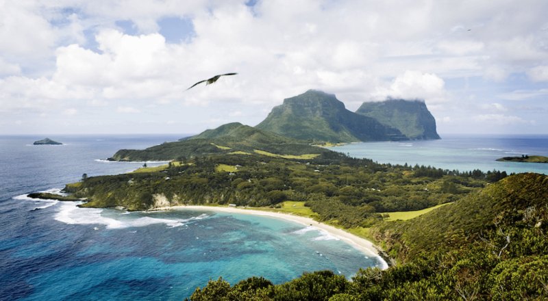 Lord Howe Island: Las últimas 7 millas del paraíso del mundo - 13