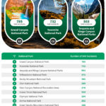 Parques nacionales de EE. UU. Con los más altos incidentes de búsqueda y rescate