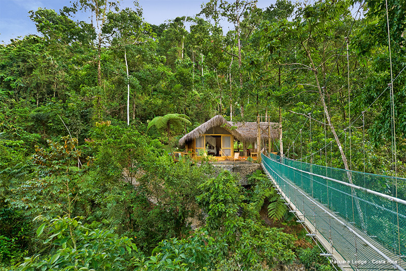 10 hoteles de la casa de árboles más increíbles del mundo - 15