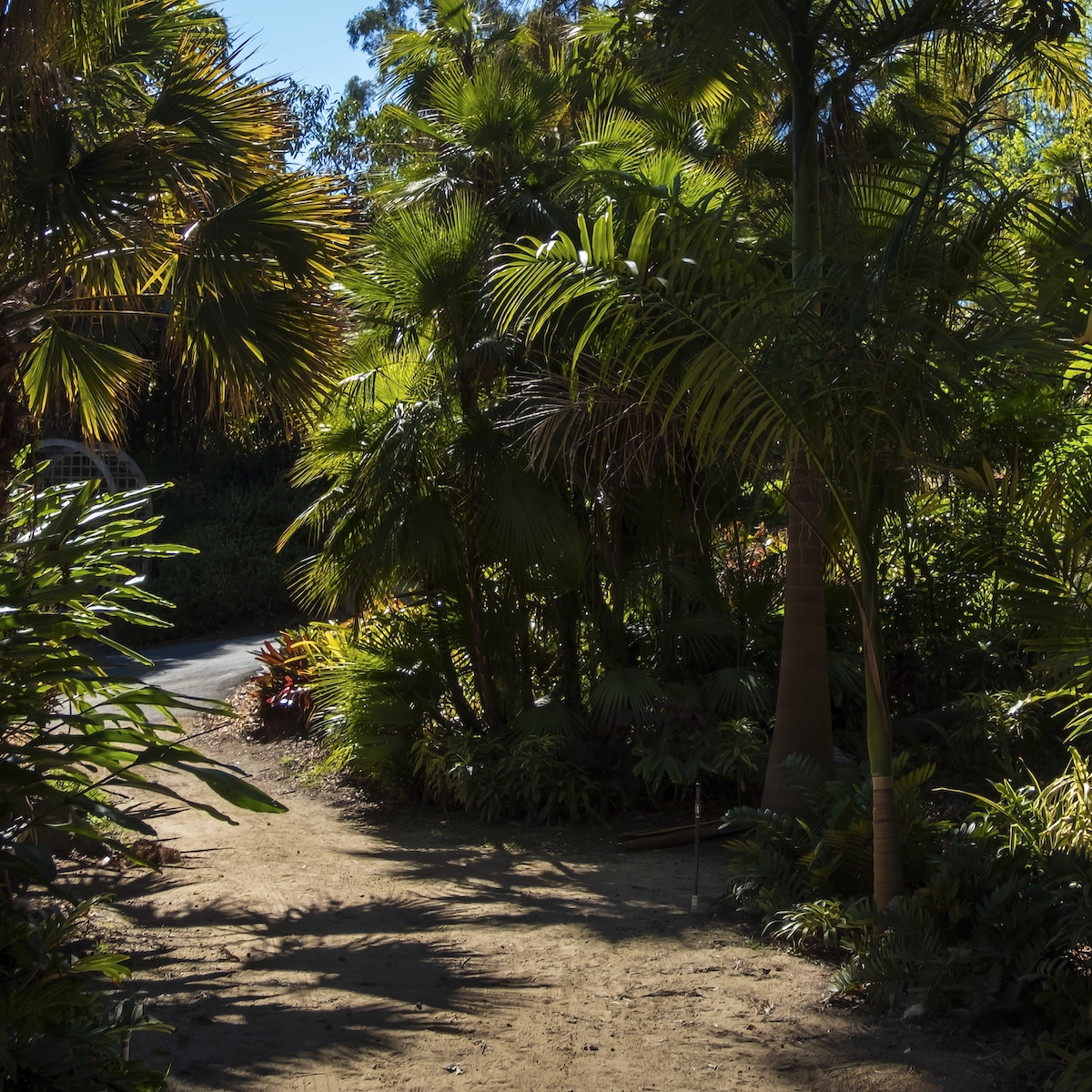 7 hermosos jardines para experimentar en San Diego - 607
