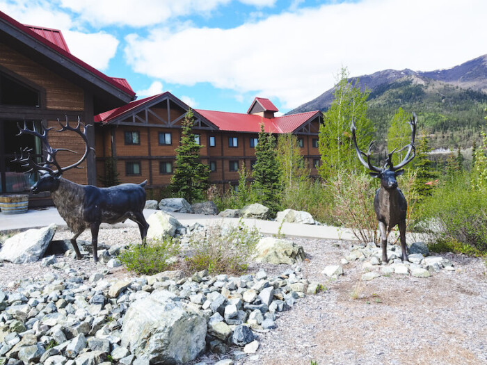 13 mejores hoteles en Denali | Dónde alojarse cerca del Parque Nacional Denali - 15