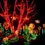 15 Fantásticas luces de zoológico de vacaciones a la experiencia en los EE. UU.