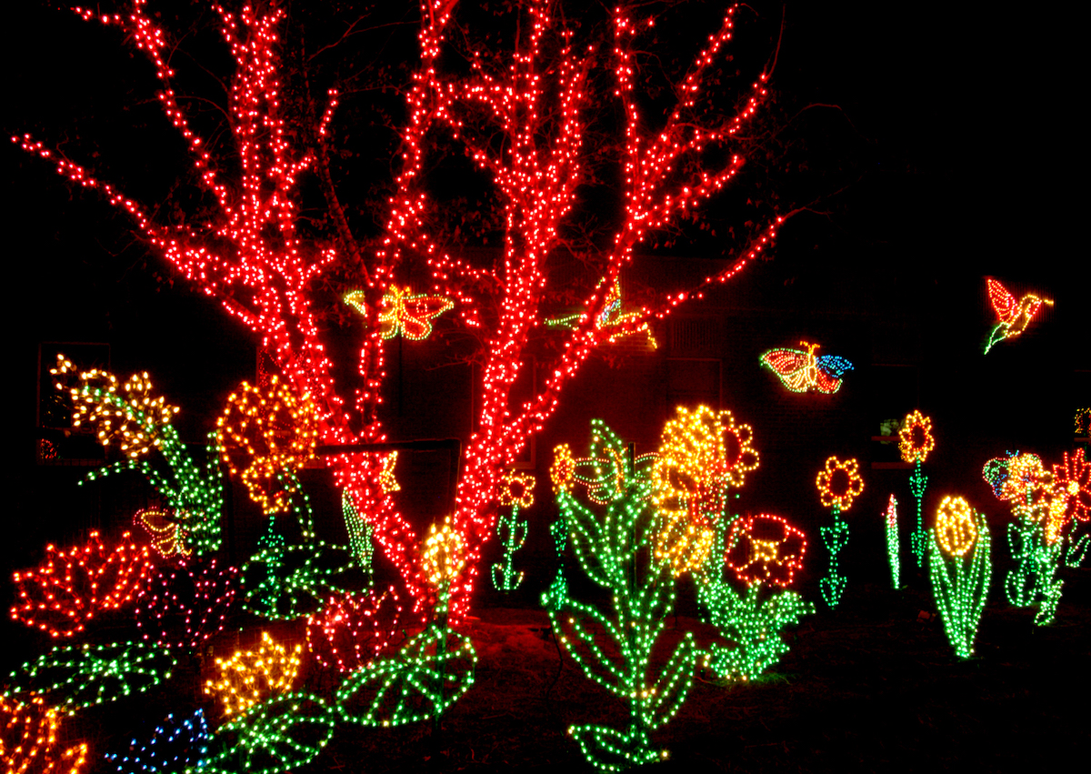 15 Fantásticas luces de zoológico de vacaciones a la experiencia en los EE. UU. - 113