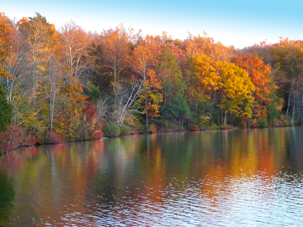 17 mejores parques estatales de Pensilvania cerca de los hermosos lagos - 21
