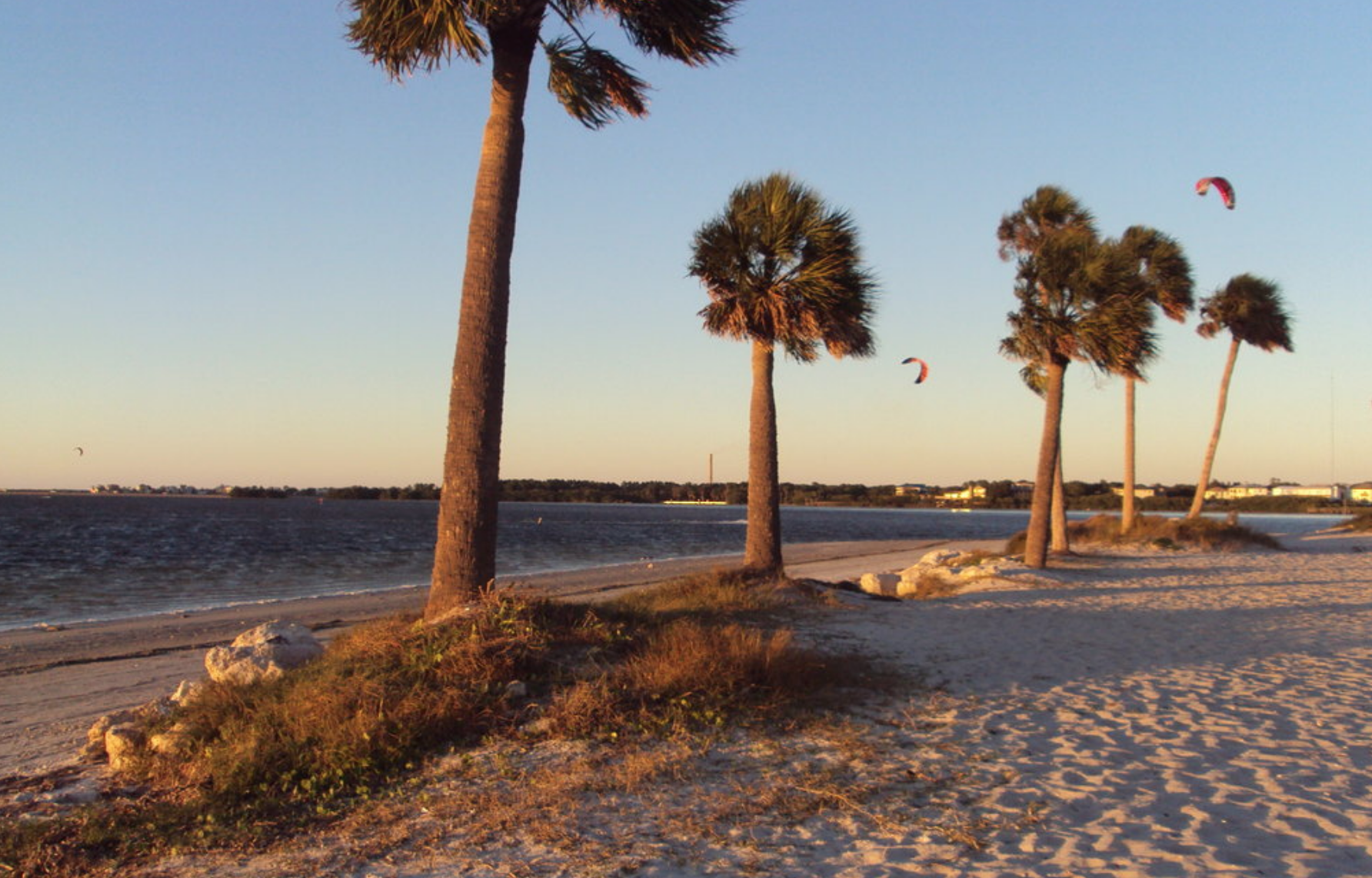 Las 10 mejores playas de Tampa - 11