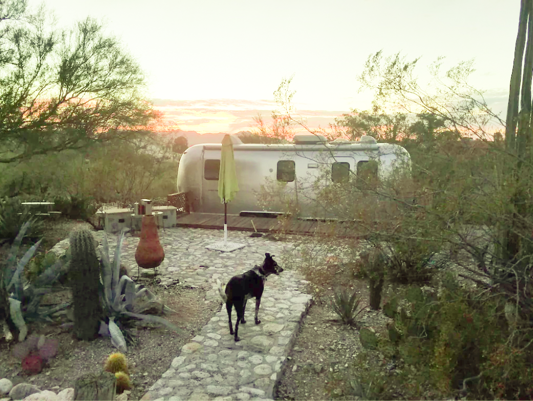 5 Vrbos favoritos de perros en Tucson, AZ, la ciudad más próxima para perros de Estados Unidos - 7