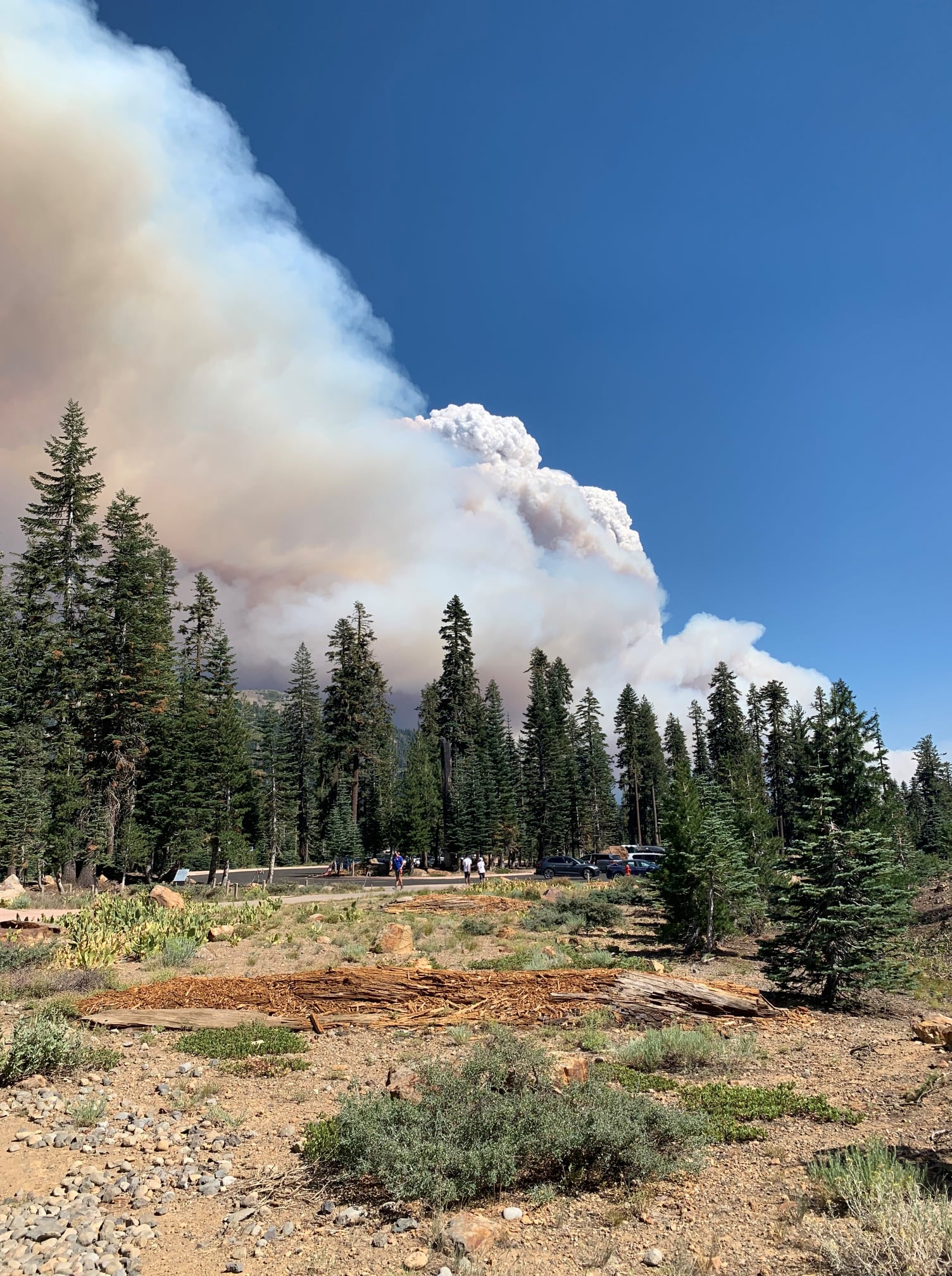 Casi el 70% del Parque Nacional Volcánico Lassen quemado por Fire Wildfire - 15