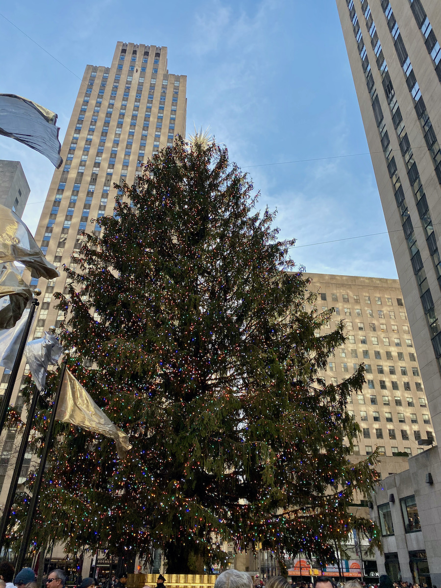 10 exhibiciones de ventanas de Navidad mágicas para visitar en la ciudad de Nueva York - 17