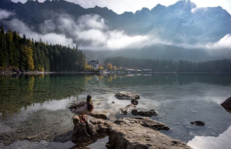 15 mejores cosas que hacer en la región de Zugspitze, Alemania - 17