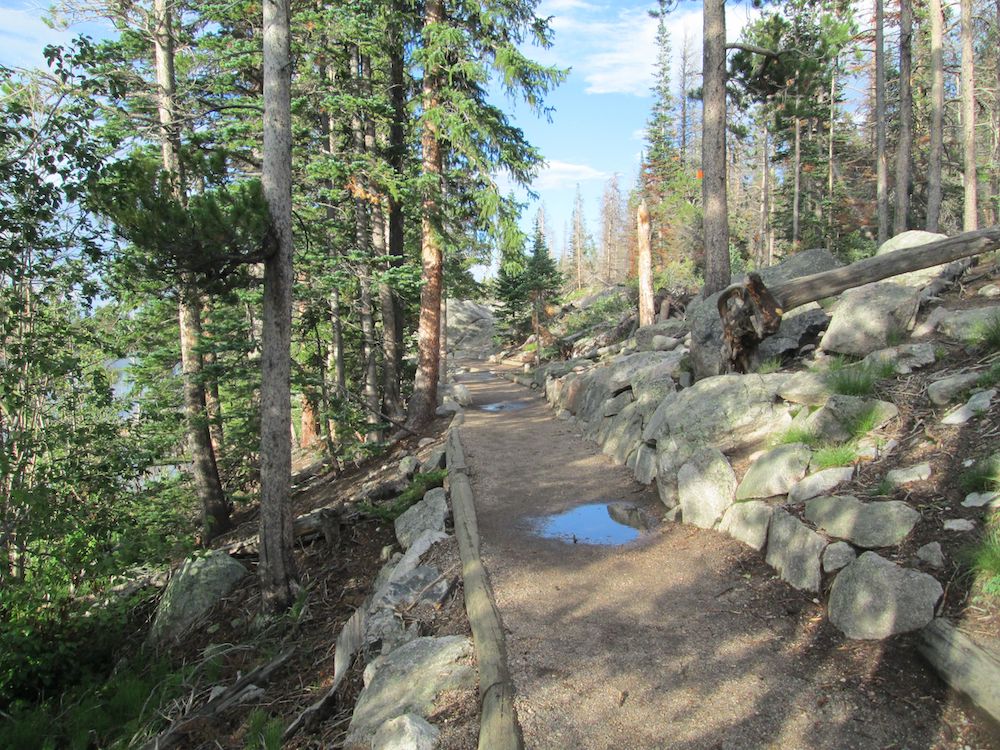 8 mejores caminatas cortas en el Parque Nacional Rocky Mountain - 181