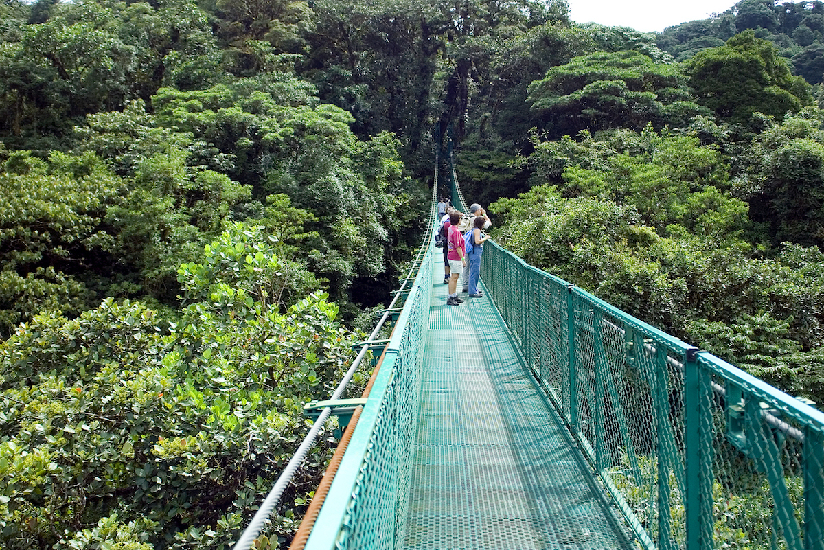 5 mejores cosas que hacer en el bosque nuboso de Monteverde de Costa Rica - 13