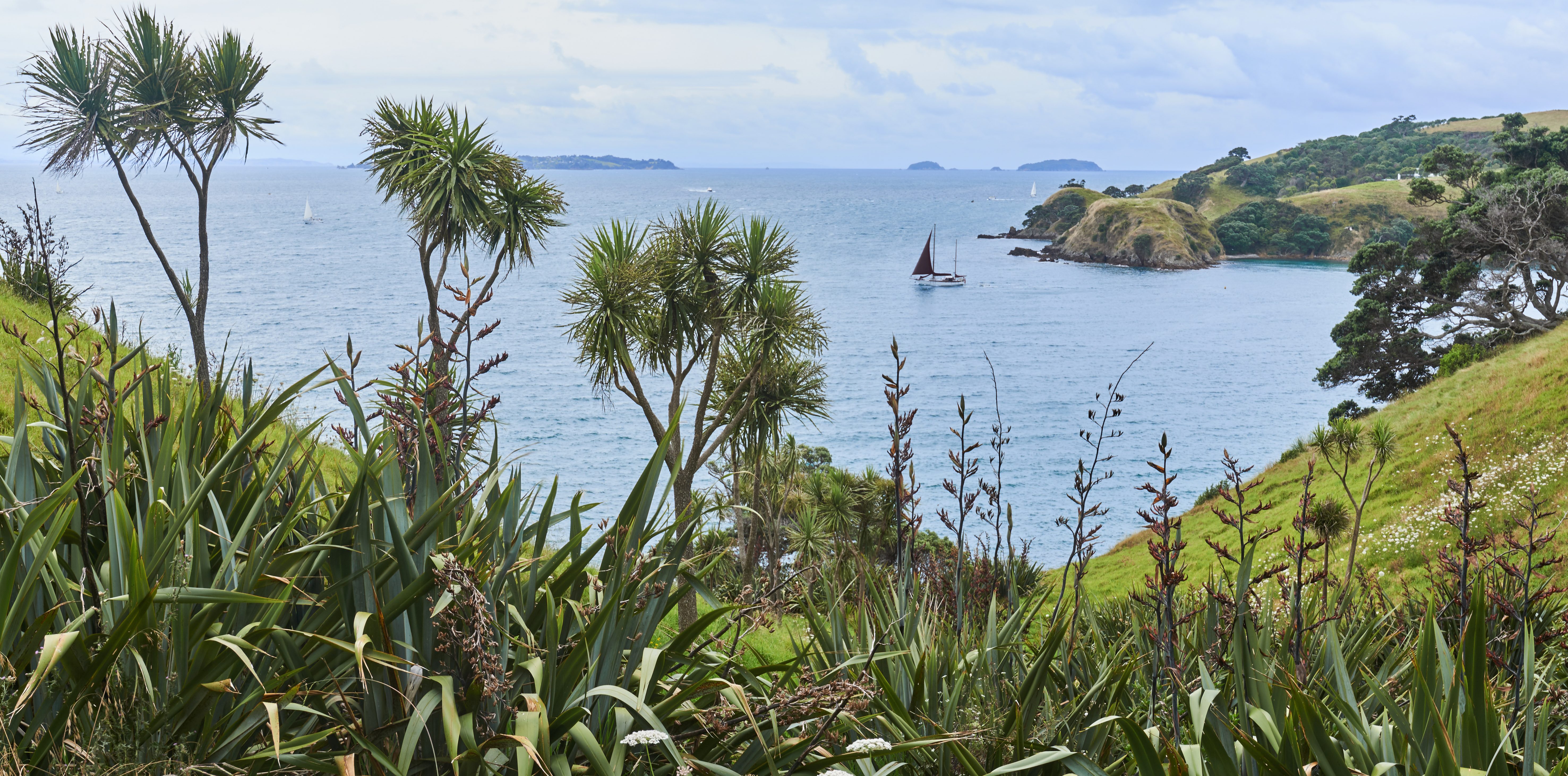 Los 10 mejores lugares para visitar en Nueva Zelanda este año - 17