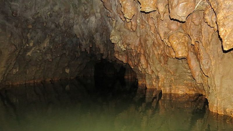 Cuevas de lombrices de brillo de Waitomo en Nueva Zelanda - 19
