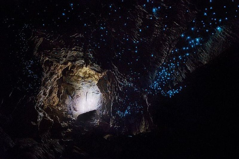Cuevas de lombrices de brillo de Waitomo en Nueva Zelanda - 11