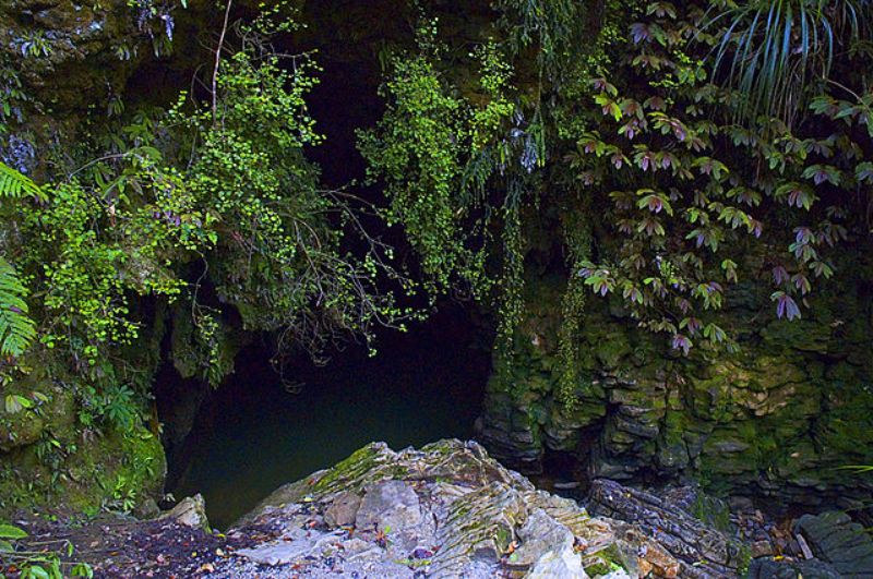 Cuevas de lombrices de brillo de Waitomo en Nueva Zelanda - 13