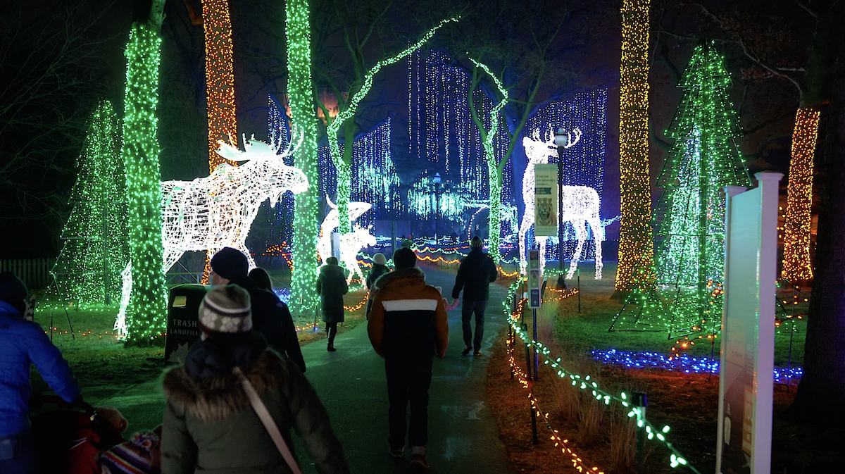 15 Fantásticas luces de zoológico de vacaciones a la experiencia en los EE. UU. - 7