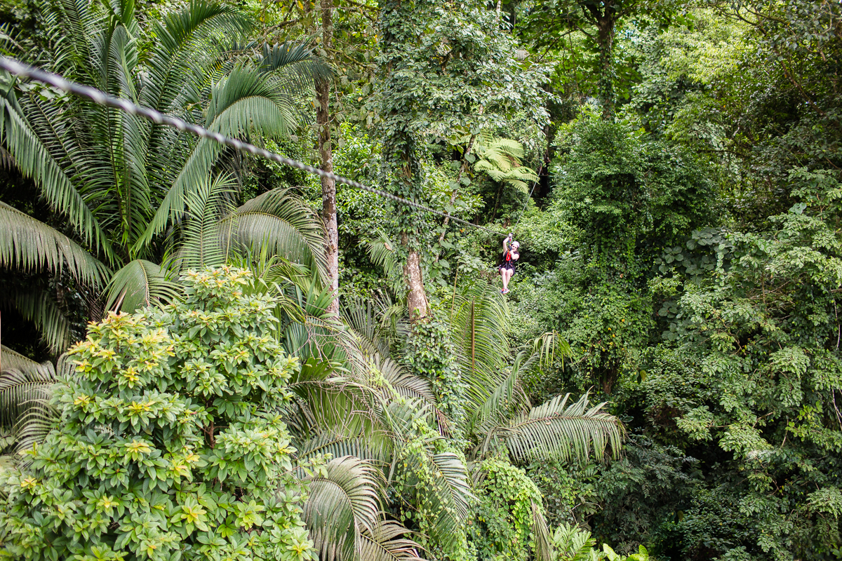 7 formas dignas de la lista de cubos para experimentar el ecoturismo en Costa Rica - 15