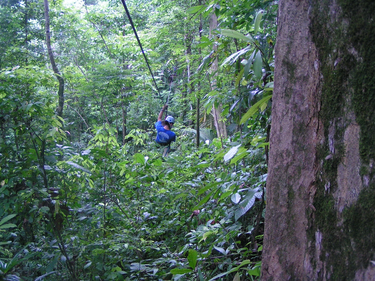 5 mejores cosas que hacer en el bosque nuboso de Monteverde de Costa Rica - 11