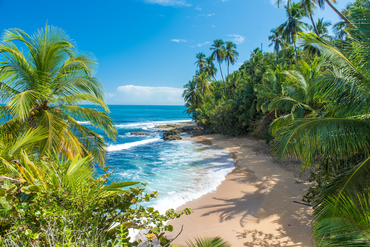 Por qué debe agregar unas vacaciones en Costa Rica a su lista de viajes - 9