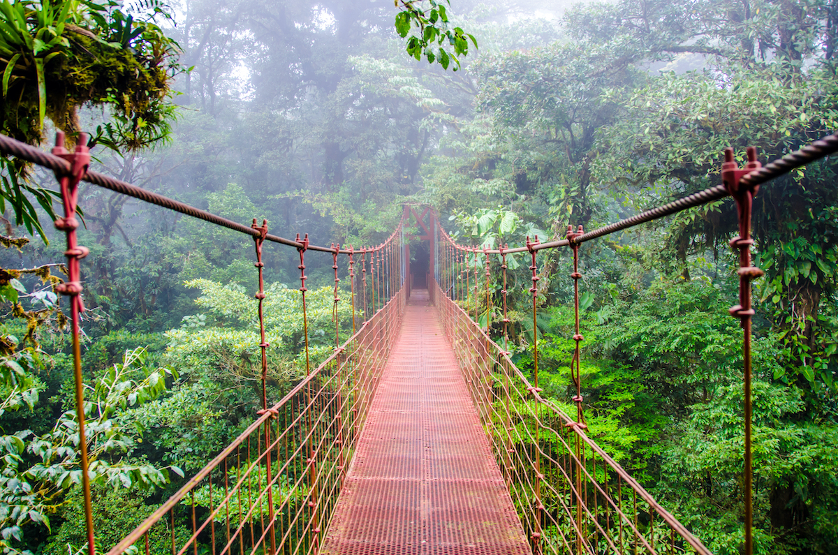 Por qué debe agregar unas vacaciones en Costa Rica a su lista de viajes - 13